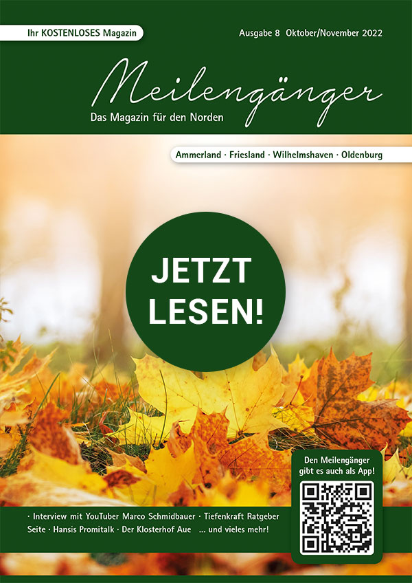 Meilengänger Aktuelles Cover Ausgabe 8 Oktober 2022