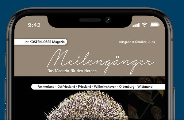 Meilengänger App Beispiel