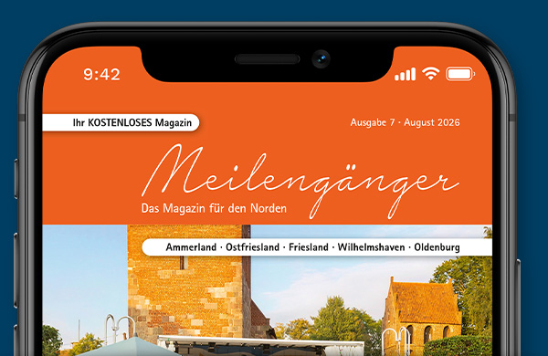 Meilengänger_App_Beispiel Meilengänger App Beispiel